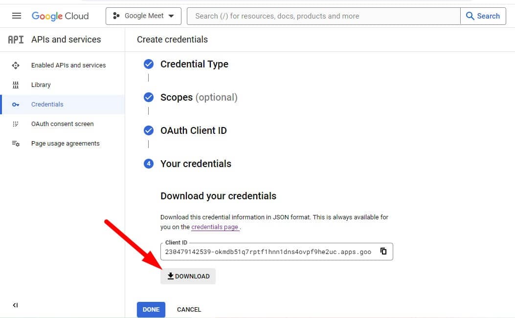 download the JSON file