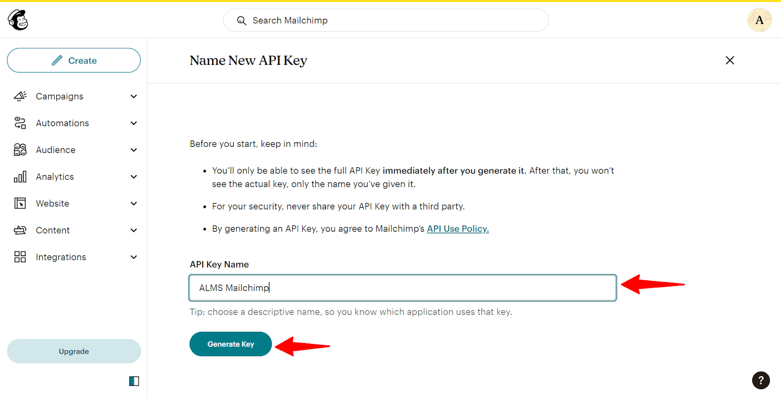 api key name